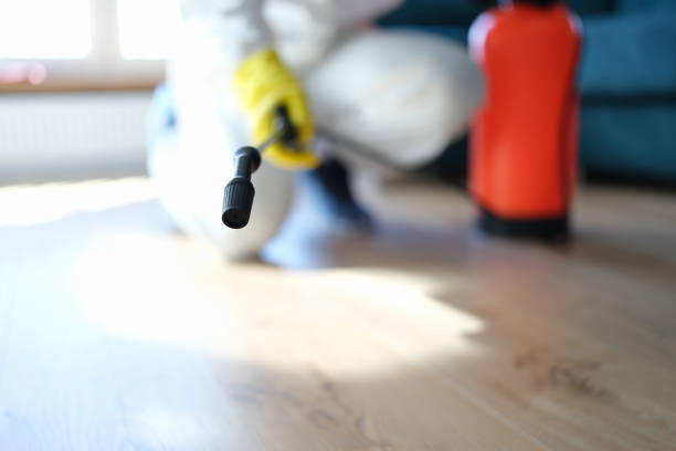 Asbestos and Lead Testing During Mold Inspection in South Beach, FL