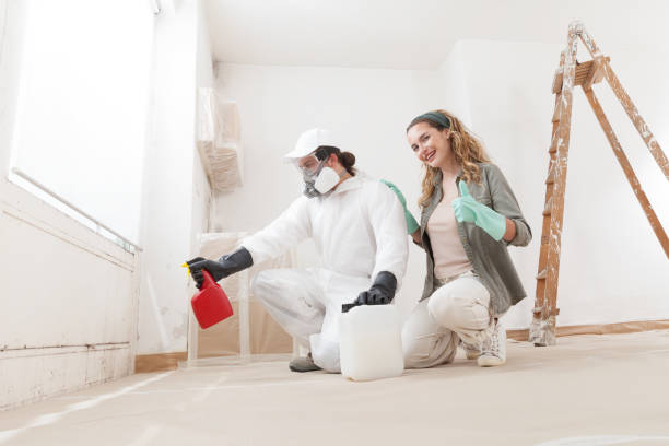 Best Mold Odor Removal Services  in South Beach, FL