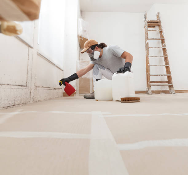 Best Comprehensive Air Testing for Mold Contaminants  in South Beach, FL